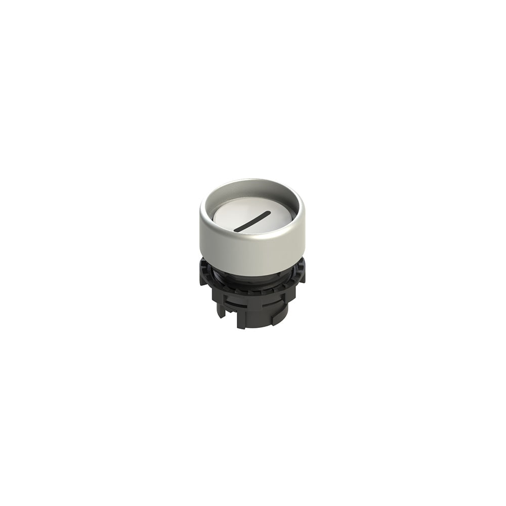 PIZZATO ELETTRICA - PZZE2 1PL2P229L2 PULSANTE LUMINOSO PROTETTO BIANCO CON MA