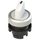 PIZZATO ELETTRICA - PZZE2 4SL12AVD29AB SELETTORE LUMINOSO A LEVA CORTA A DUE PO