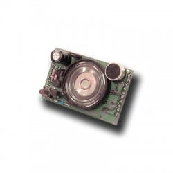 IESS SRL - EAAETRVOICE SCHEDA SINTESI VOCALE X CENTRALI SERIE E