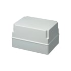 ELETTROCANALI SRL - ETNEC490C8 CASSETTA POL. P.LISCE120 C.ALTO 300X220X