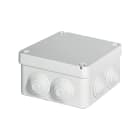 ELETTROCANALI SRL - ETNEC491C4A CASSETTA AE DERIVAZIONE IP55 110X110X60