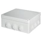 ELETTROCANALI SRL - ETNEC491C7A Cassetta AE derivazione IP55 250x200x100