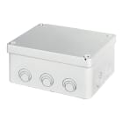 ELETTROCANALI SRL - ETNEC493C5 CASSETTA DERIVAZIONE PRET. IP67 160X115X