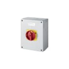 ELETTROCANALI SRL - ETNEC660632E INTERRUTTORE ROTATIVO EM 63A-2P-155X205X