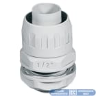 ELETTROCANALI SRL - ETNECGX10M RAC. IP65 GUAINA-SCATOLA D.10 FIL. METRI