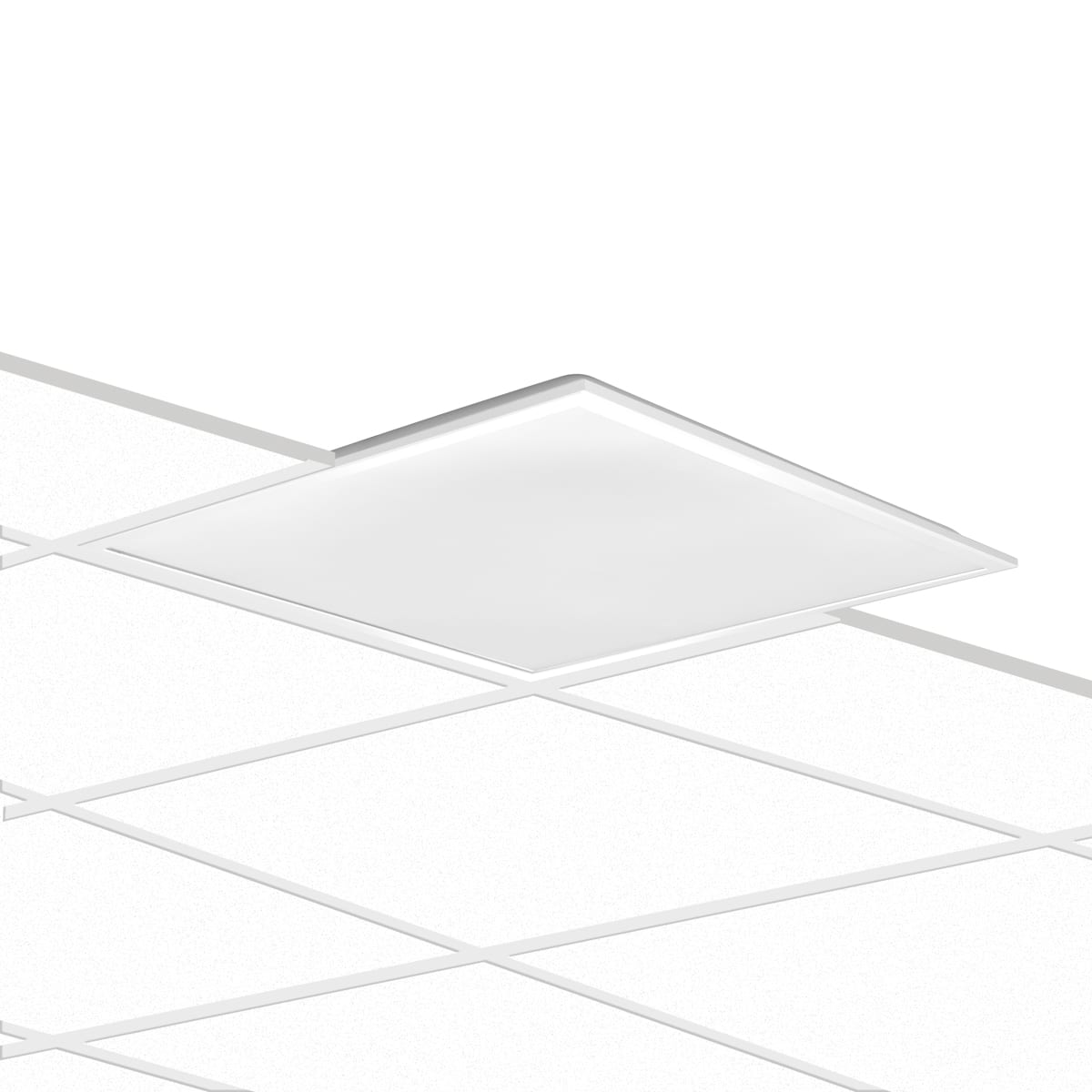 PERFORMANCE IN LIGHT - PRI3116603 ELA 600 PR 28.5 830 UGR<19