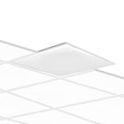PERFORMANCE IN LIGHT - PRI3118516 ELA625ILQ 30 S/A 830 WH9016 PR