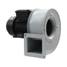 ELICENT (MAICO) - ELI1IC0000 IC 100 M 009K LG STD