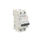 ELETTRA SRL AEG - AEGEN102C10 INT.AUT.AEG EN100 2P C 10A 10KA 2M