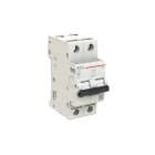 ELETTRA SRL AEG - AEGEN62C10 INT.AUT.AEG EN60 2P C 10A 6KA 2M