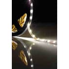 ELCOM SRL - EOW05176 STRIP 204LED/M 17,5W/M 30K IP20
