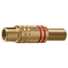 ELCART DISTRIBUTION - ERT040203800 PRESA VOL.RCA DORATA NERA POL.