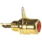 ELCART DISTRIBUTION - ERT040204800 PRESA PANN.RCA DORATA COL. NERO