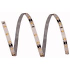 ELCART DISTRIBUTION - ERT186091500 STRISCIA LED 5W/M BC 12V IP20