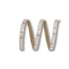 ELCART DISTRIBUTION - ERT186091800 STRISCIA LED 5W/M BC 12V IP65