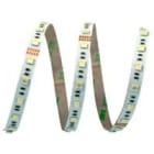 ELCART DISTRIBUTION - ERT186516600 STRISCIA LED 19,2W/M RGBBC24VIP20