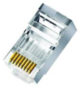 ELCART DISTRIBUTION - ERT401350500 SPINA CAT.6 CON FORI PASSANTI