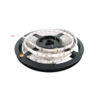 ESSE-CI SRL - ESC83SL10K4 STRIP LED 10W/M 24V CRI>90 4000K BOBINA