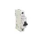 ELETTRA SRL AEG - AEGEX101UCC0.5 INT.AUT.AEG EX100UC 1P C 0.5A 10kA 1M
