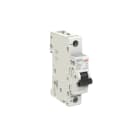 ELETTRA SRL AEG - AEGEX101UCC02 INT.AUT.AEG EX100UC 1P C 02A 10KA 1M