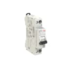 ELETTRA SRL AEG - AEGEX41NRC06 INT.AUT.AEG EX41NR 1P+N C 06A 4,5KA 1M