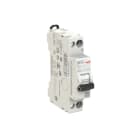 ELETTRA SRL AEG - AEGEX61NRC06 INT.AUT.AEG EX61NR 1P+N C 06A 6KA 1M