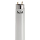 BEGHELLI - BEG56233 T8 ECOLED STD 1200MM G1318W865