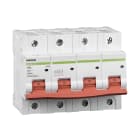 CHINT ITALIA INVESTM - CHT102850N EX9B125/C63-4P-25 -INT MT 4P 63A 25KA CU