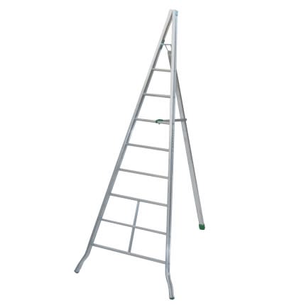 FACAL SRL - FAFAG500 SCALA AGRICOLTURA M. 5.00