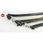 CONTACT ITALIA SPA - IICFC10025B FASCETTA DA CABLAGGIO 100X2.5MM BIANCA10