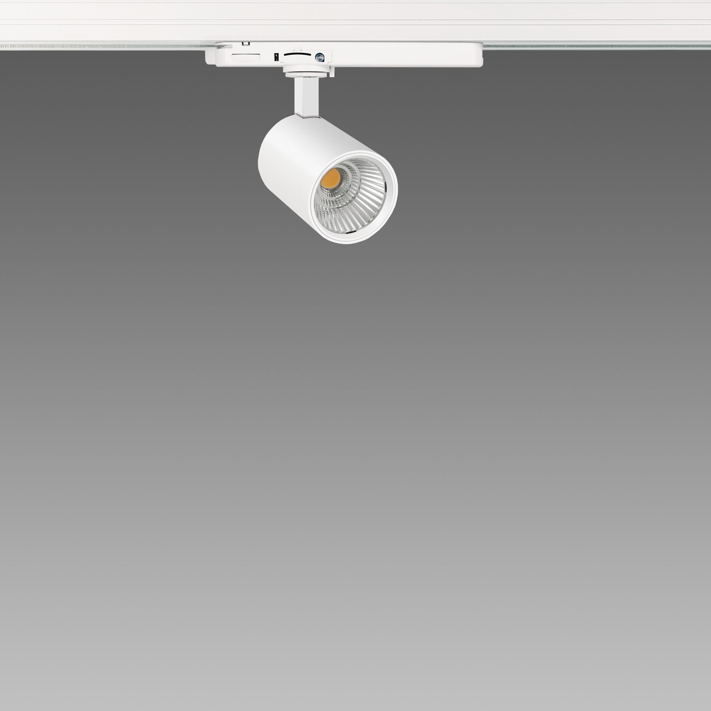FOSNOVA - FOS220408121241 ASSO B SMALL 0408 LED 14W CLD-D-D BIA