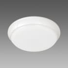 FOSNOVA - FOS220424110050 TORTUGA 0424 17W 4K CLD-EC BIA