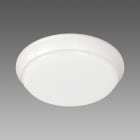 FOSNOVA - FOS2204241119 TORTUGA 0424 17W 4K CLD BIA SENS