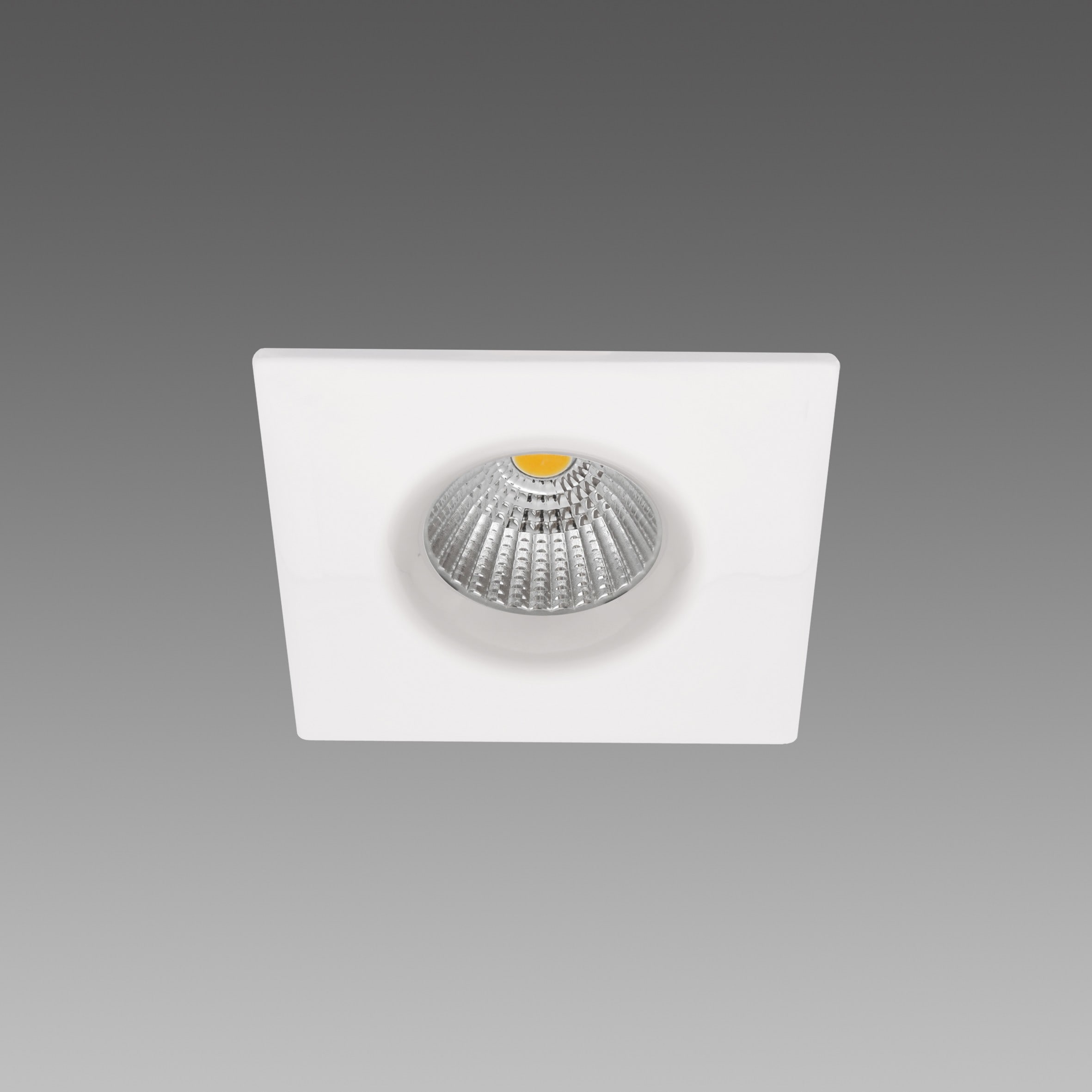 FOSNOVA - FOS2208276039 SNOW 4 0827 10W CLD CCT CRO