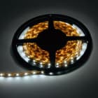 FOSNOVA - FOS2248511500 STRISCIA LED 4851 120 LED MT 4K IP20 L=5