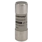 MERSEN ITALIA SPA - XESN212072 690V CP 22X58 GG 25A S/I