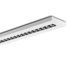 PERFORMANCE IN LIGHT - PRI3122047 FLEXILED5SM37A/M840WH9016LM1500/150DALI