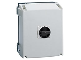 LOVATO - LOVGAZ125T4B SEZIONATORE 4P IN CASSETTA AC21A 125A