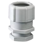 GEWISS - GEWGW50419 RACCORDO TUBO/CASSETTA IN POLIMERO ANTIURTO - FORO DIAMETRO 48MM - PER TUBO DIAMETRO 40MM - GRIGIO RAL7035 - IP66