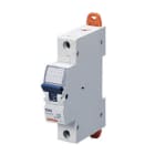 GEWISS - GEWGW92611 INT. MAGNETOTERMICO 1P C40 10KA 1M