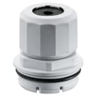 GEWISS - GEWDX47503 RAC.PRESSACAVO TX/QX X CAVI 3-6