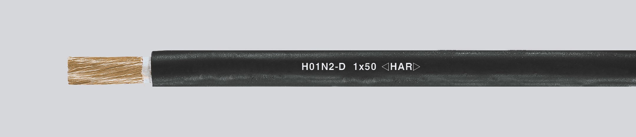 HELUKABEL ITALIA SRL - HLK31005 H01N2-D 1X50 QMM