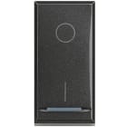 BTICINO - BTIHS4002 Ausschalter 2P anthrazit 20A