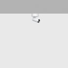IGUZZINI ILLUMINAZI - IGZ3.QC43.701.0 PALCO D=37 1X PLAFONE 2700K CRI90 WIDEFL