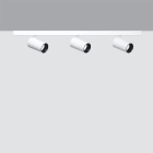 IGUZZINI ILLUMINAZI - IGZ3.QC46.701.0 PALCO D=37 3X PLAFONE 3000K CRI90 WIDEFL