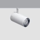 IGUZZINI ILLUMINAZI - IGZ3.QP20.701.0 PALCO L.V.D=86 LED WARM WHITE 3000K CRI9