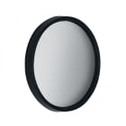 IGUZZINI ILLUMINAZI - IGZ3.X265.065.0 VETRO DIFFONDENTE D=80