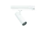LINEA LIGHT (ILED) - ILD81629W15 POUND-1 6 1L 15WAC CRI98 SPEC+AL BG