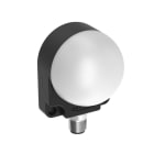 TURCK BANNER SRL - TUK3083417 Indicatore K50F, Verde;Rosso