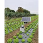 MO EL - MOE3689FV MOONLED PER FOTOVOLTAICO